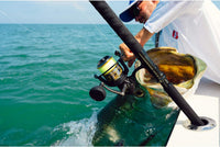 penn battle fishing rod PENN Battle® III 10' Spinning Reel and Fishing Rod Combo