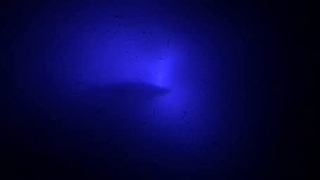 Hydro Glow 100W/120VAC - Underwater Dock Light - SF100B Blue Anchored To Bottom 